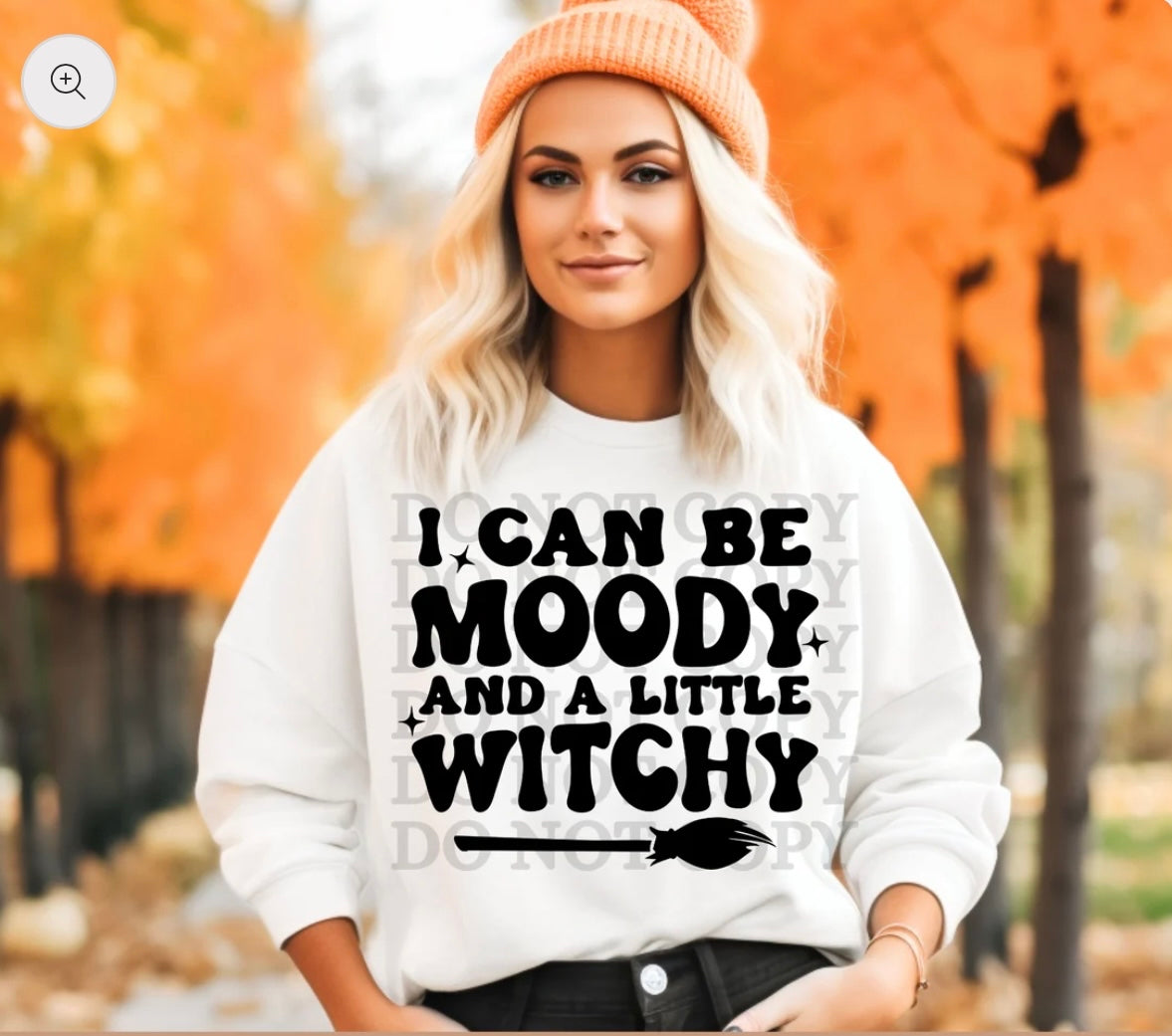 I can be moody and a little witchy T-Shirt